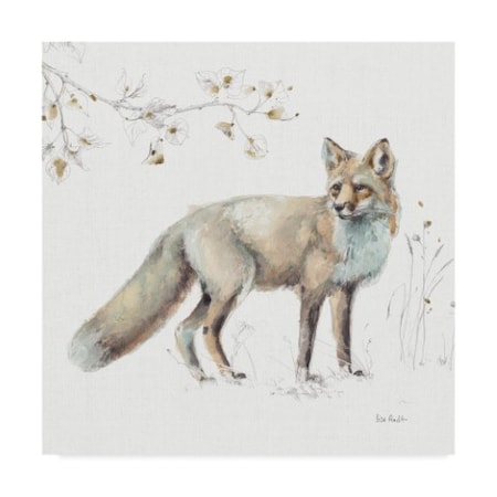 Lisa Audit 'Woodland Walk Xi Fox' Canvas Art,35x35